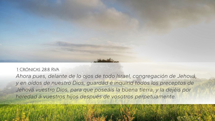 1 Crónicas 28:8 RVA Bible Verse Image