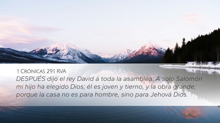 1 Crónicas 29:1 RVA Bible Verse Image