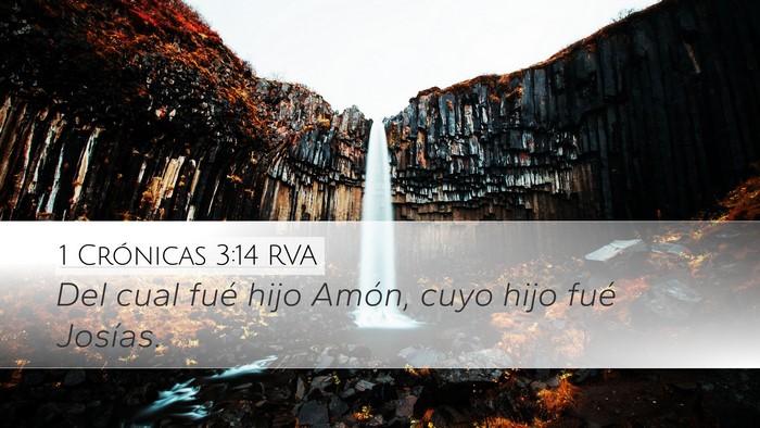 1 Crónicas 3:14 RVA Bible Verse Image