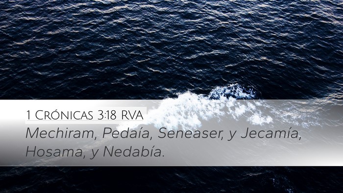 1 Crónicas 3:18 RVA Desktop Wallpaper - Mechiram, Pedaía, Seneaser, y Jecamía, Hosama, - Desktop Bible Verse Wallpaper