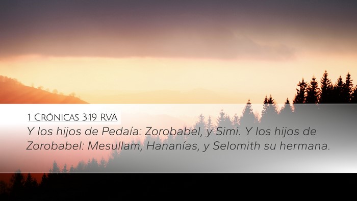 1 Crónicas 3:19 RVA Bible Verse Image
