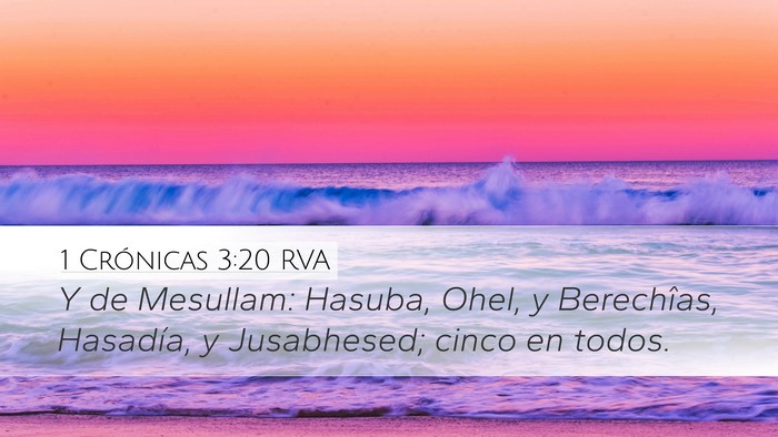 1 Crónicas 3:20 RVA Desktop Wallpaper - Y de Mesullam: Hasuba, Ohel, y Berechîas, - Desktop Bible Verse Wallpaper
