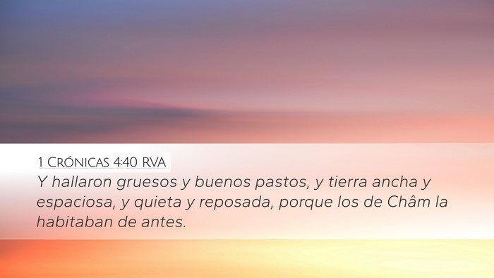 1 Crónicas 4:40 RVA Desktop Wallpaper - Y hallaron gruesos y buenos pastos, y tierra - Desktop Bible Verse Wallpaper