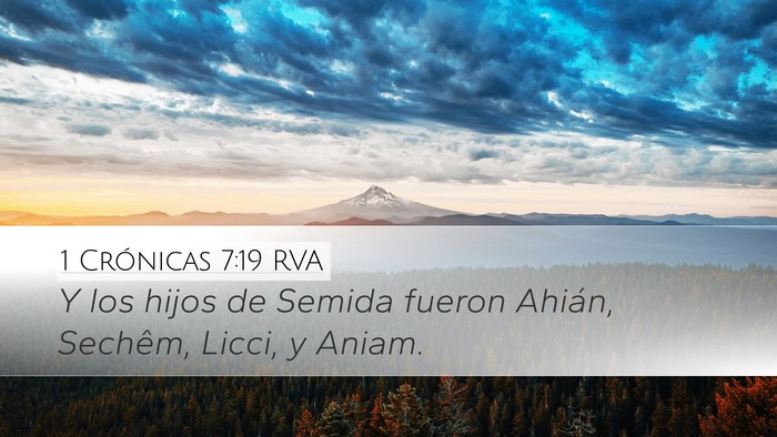 1 Crónicas 7:19 RVA Desktop Wallpaper - Y los hijos de Semida fueron Ahián, Sechêm, - Desktop Bible Verse Wallpaper