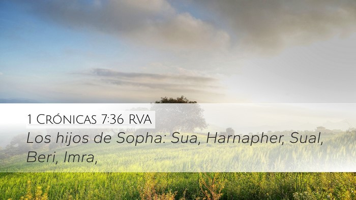 1 Crónicas 7:36 RVA Desktop Wallpaper - Los hijos de Sopha: Sua, Harnapher, Sual, Beri, - Desktop Bible Verse Wallpaper
