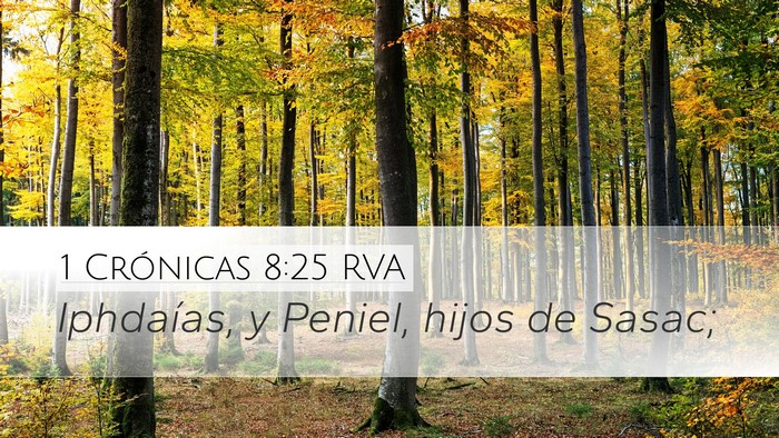 1 Crónicas 8:25 RVA Desktop Wallpaper - Iphdaías, y Peniel, hijos de - Desktop Bible Verse Wallpaper