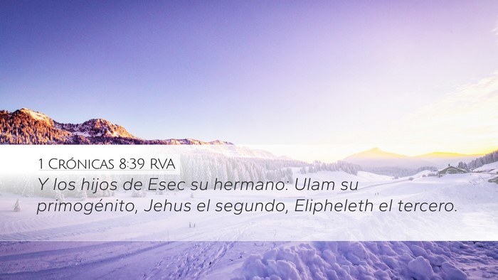 1 Crónicas 8:39 RVA Desktop Wallpaper - Y los hijos de Esec su hermano: Ulam su - Desktop Bible Verse Wallpaper