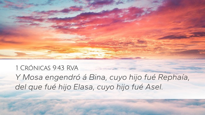 1 Crónicas 9:43 RVA Bible Verse Image