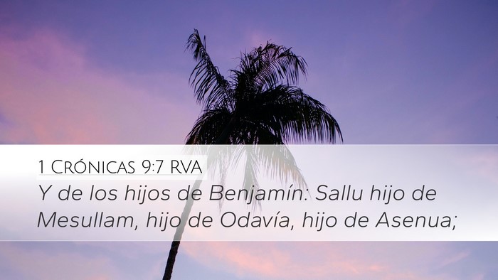 1 Crónicas 9:7 RVA Bible Verse Image