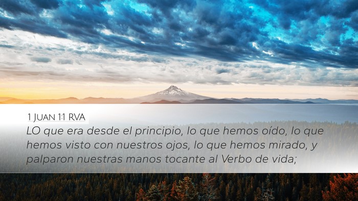 1 Juan 1:1 RVA Desktop Wallpaper - LO que era desde el principio, lo que hemos - Desktop Bible Verse Wallpaper