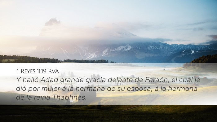1 Reyes 11:19 RVA Desktop Wallpaper - Y halló Adad grande gracia delante de Faraón, - Desktop Bible Verse Wallpaper