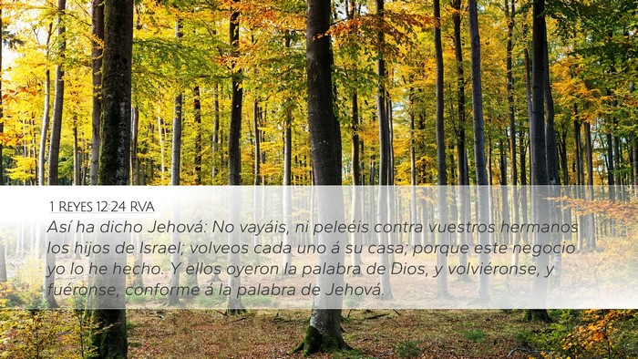 1 Reyes 12:24 RVA Bible Verse Image