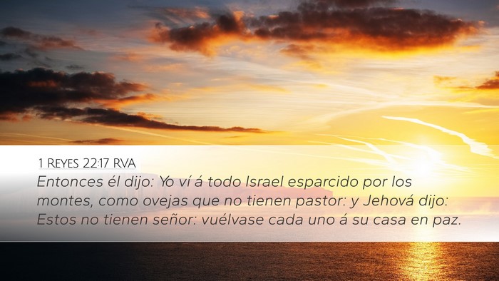 1 Reyes 22:17 RVA Bible Verse Image
