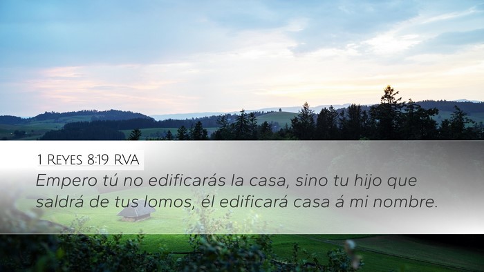 1 Reyes 8:19 RVA Bible Verse Image