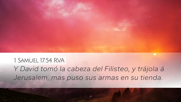 1 Samuel 17:54 RVA Bible Verse Image
