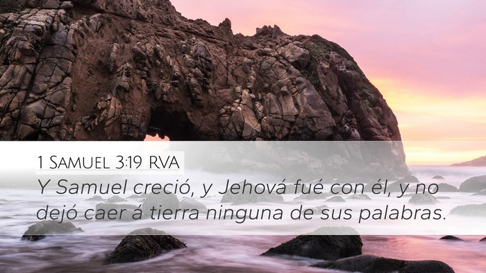 1 Samuel 3:19 RVA Bible Verse Image