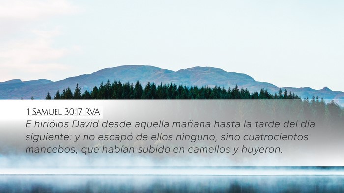 1 Samuel 30:17 RVA Bible Verse Image