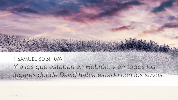 1 Samuel 30:31 RVA Bible Verse Image