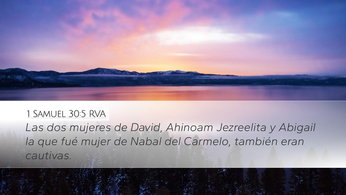 1 Samuel 30:5 RVA Bible Verse Image