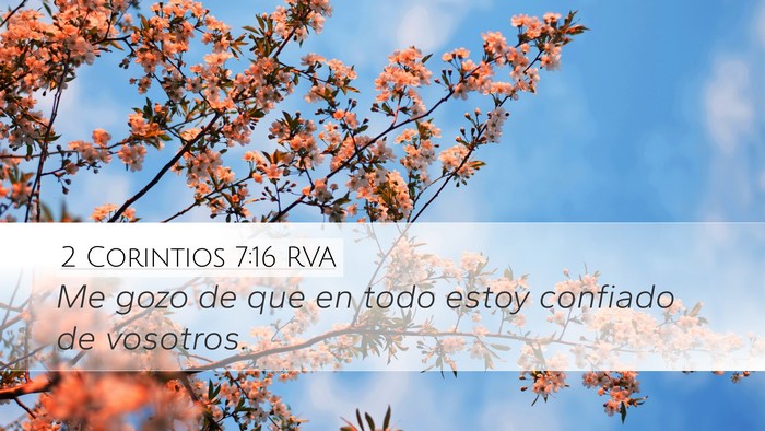 2 Corintios 7:16 RVA Desktop Wallpaper - Me gozo de que en todo estoy confiado de - Desktop Bible Verse Wallpaper