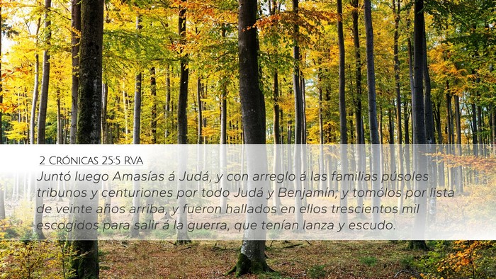 2 Crónicas 25:5 RVA Bible Verse Image