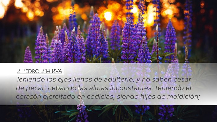 2 Pedro 2:14 RVA Bible Verse Image