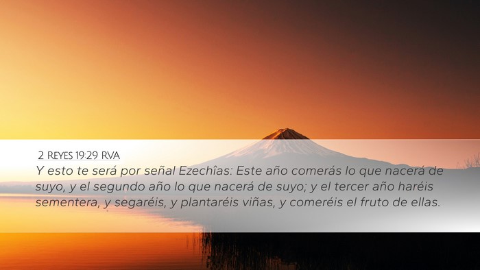 2 Reyes 19:29 RVA Bible Verse Image