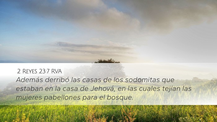 2 Reyes 23:7 RVA Bible Verse Image