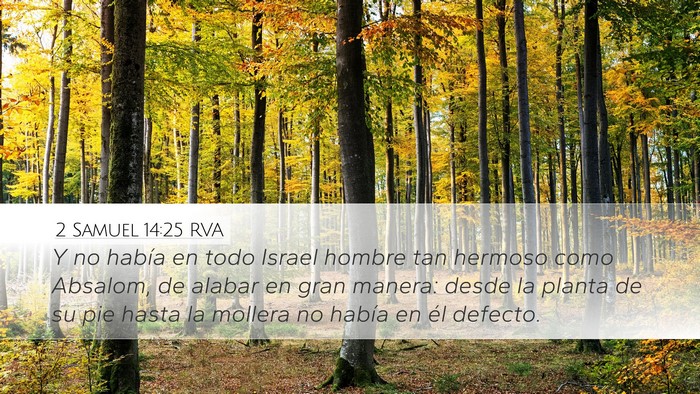 2 Samuel 14:25 RVA Bible Verse Image