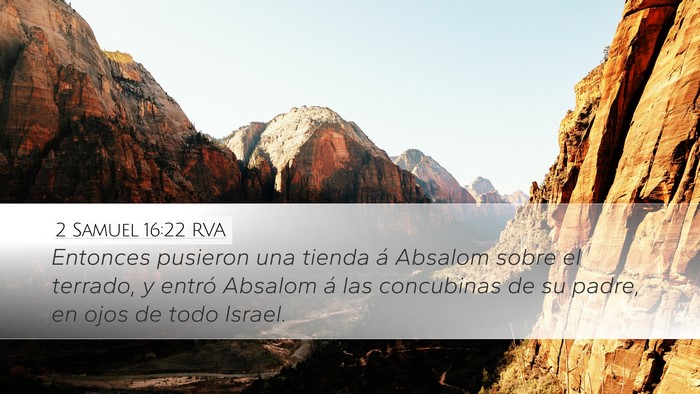 2 Samuel 16:22 RVA Bible Verse Image