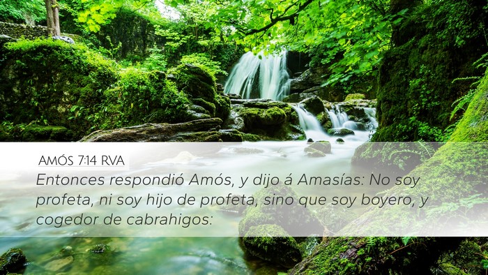 Amós 7:14 RVA Bible Verse Image