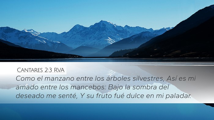 Cantares 2:3 RVA Bible Verse Image