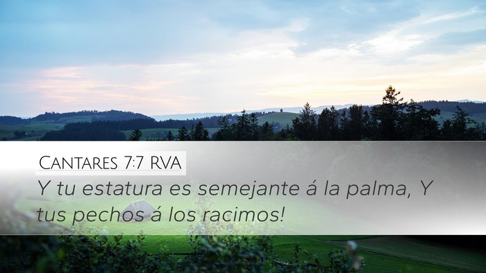 Cantares 7:7 RVA Bible Verse Image