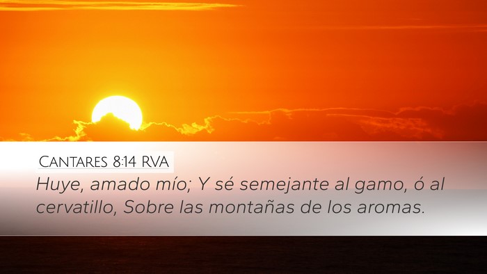 Cantares 8:14 RVA Desktop Wallpaper - Huye, amado mío; Y sé semejante al gamo, ó al - Desktop Bible Verse Wallpaper