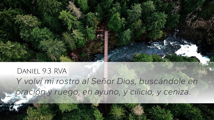 Daniel 9:3 RVA Bible Verse Image
