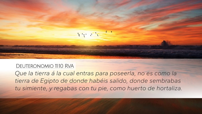 Deuteronomio 11:10 RVA Bible Verse Image