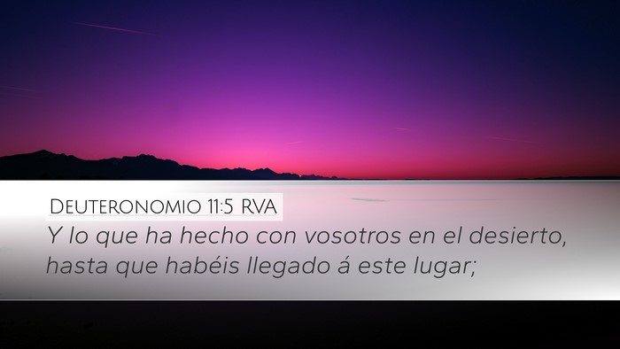 Deuteronomio 11:5 RVA Desktop Wallpaper - Y lo que ha hecho con vosotros en el desierto, - Desktop Bible Verse Wallpaper