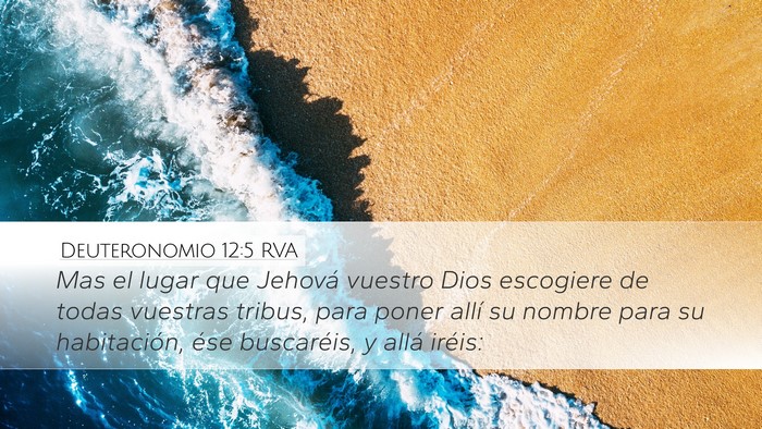 Deuteronomio 12:5 RVA Bible Verse Image
