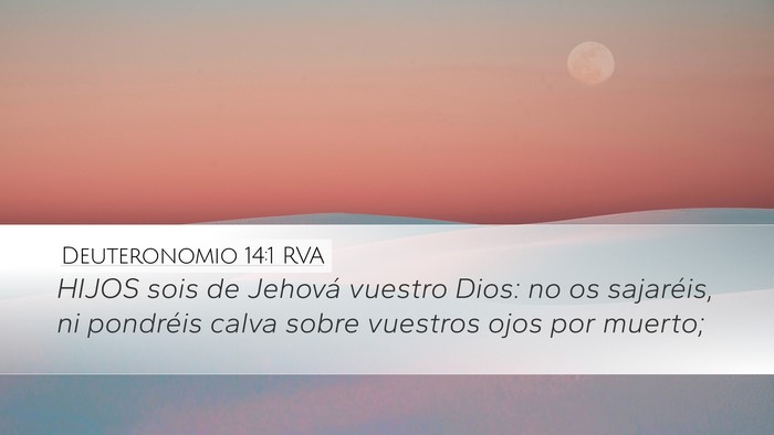 Deuteronomio 14:1 RVA Bible Verse Image