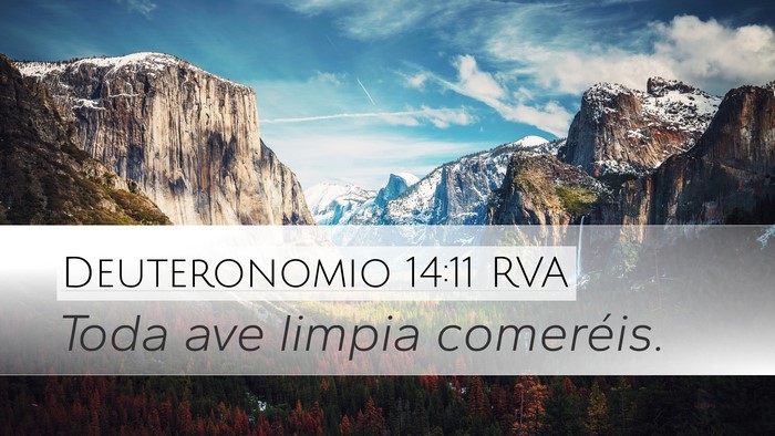 Deuteronomio 14:11 RVA Desktop Wallpaper - Toda ave limpia - Desktop Bible Verse Wallpaper