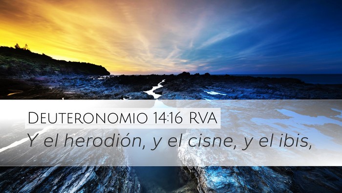 Deuteronomio 14:16 RVA Desktop Wallpaper - Y el herodión, y el cisne, y el - Desktop Bible Verse Wallpaper