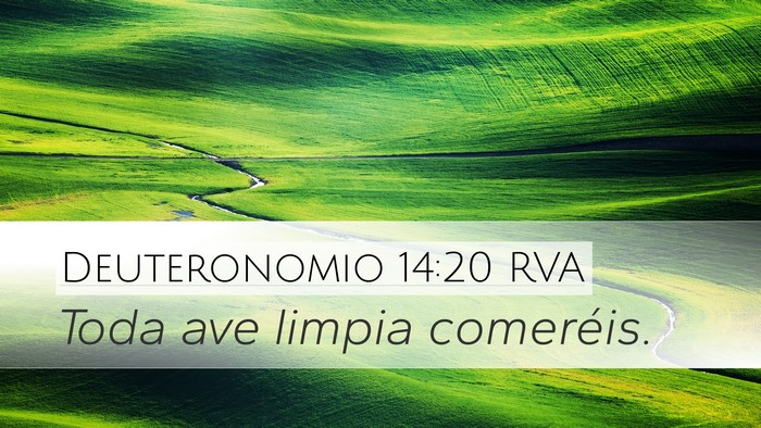 Deuteronomio 14:20 RVA Desktop Wallpaper - Toda ave limpia - Desktop Bible Verse Wallpaper