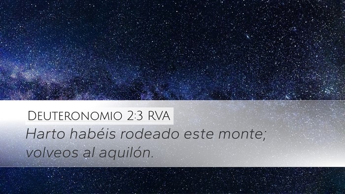 Deuteronomio 2:3 RVA Desktop Wallpaper - Harto habéis rodeado este monte; volveos al - Desktop Bible Verse Wallpaper