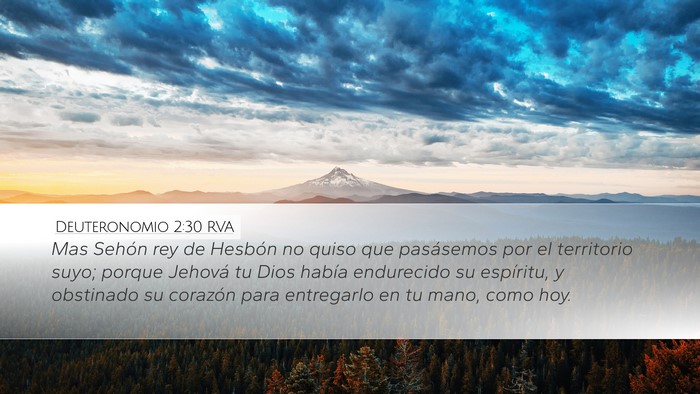 Deuteronomio 2:30 RVA Bible Verse Image