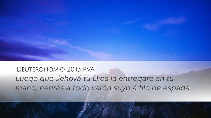 Deuteronomio 20:13 RVA Bible Verse Image