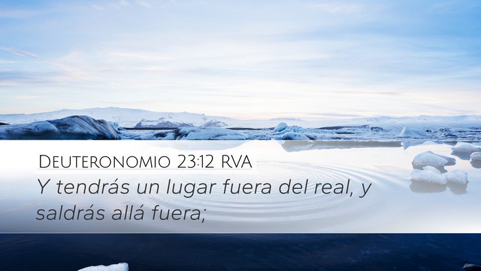 Deuteronomio 23:12 RVA Desktop Wallpaper - Y tendrás un lugar fuera del real, y saldrás - Desktop Bible Verse Wallpaper