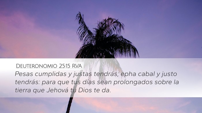 Deuteronomio 25:15 RVA Bible Verse Image
