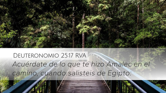 Deuteronomio 25:17 RVA Bible Verse Image