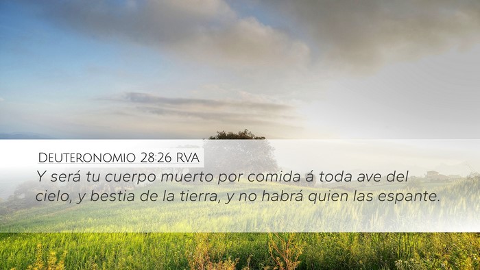 Deuteronomio 28:26 RVA Bible Verse Image