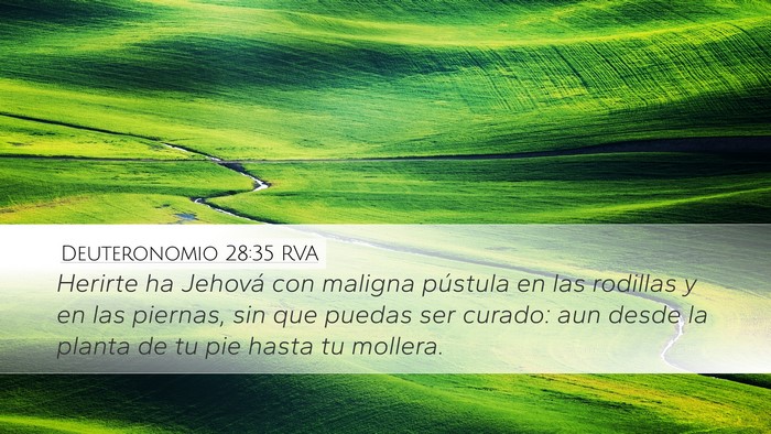 Deuteronomio 28:35 RVA Bible Verse Image